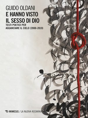 cover image of E hanno visto il sesso di Dio